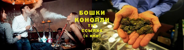 МДПВ Каменка