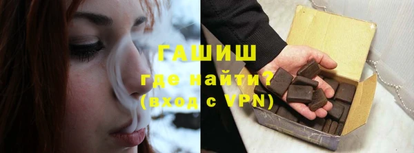 МДПВ Каменка