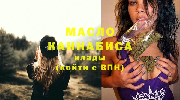 МДПВ Каменка