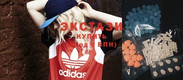 МДПВ Каменка