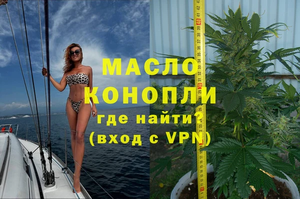 МДПВ Каменка