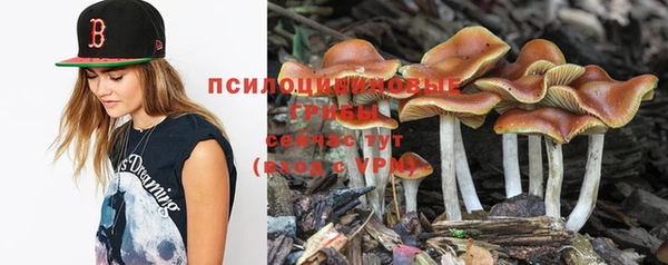 гашишное масло Каменногорск