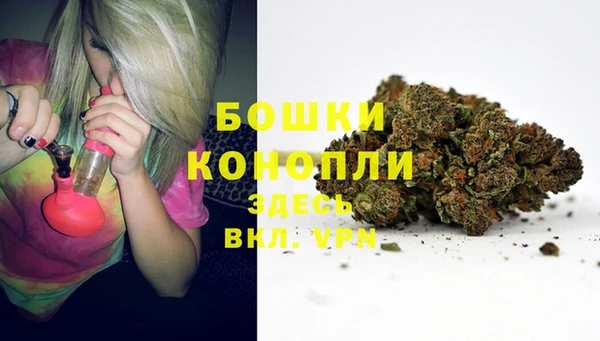 МДПВ Каменка